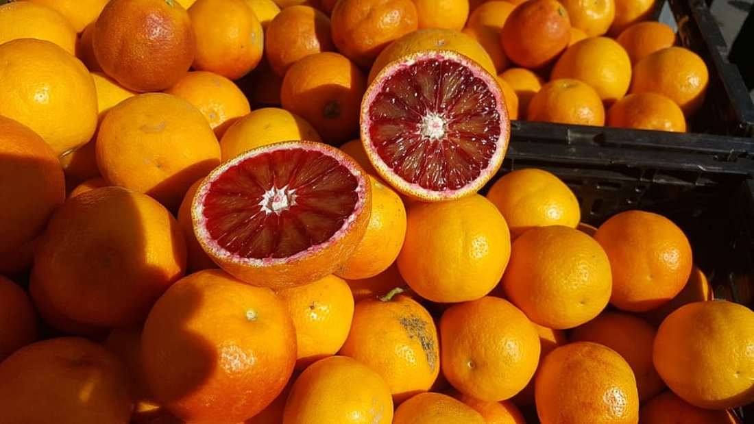 blood-orange-fruit-sunshine-juicy